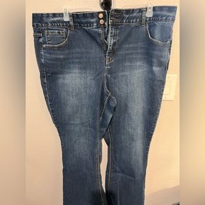 Lane Bryant jeans - 24 short
